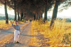 paganico975_19
