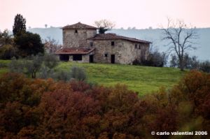 pelago001_061125