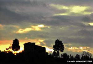 pelago035