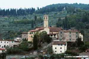 pelago03_060916