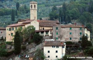 pelago04_060916
