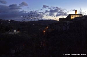 pelago054_071208