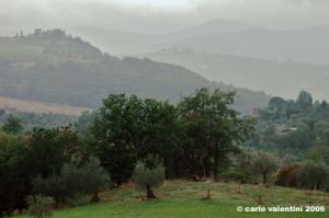 pelago08_060916