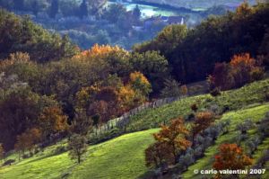 pelago_campagna009