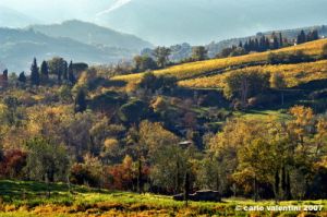 pelago_campagna017