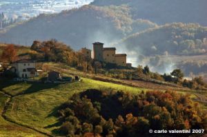 pelago_campagna030