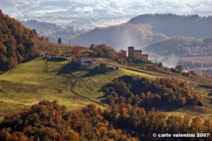 pelago_campagna033