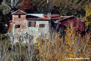 pelago_campagna036