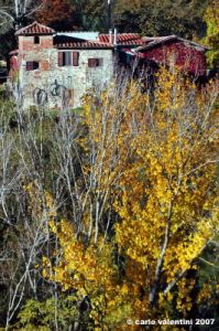 pelago_campagna038