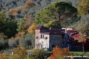 pelago_campagna039