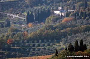 pelago_campagna040