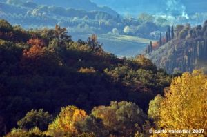 pelago_campagna041