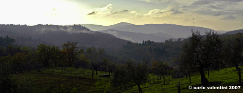 pelago_campagna047