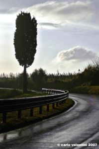 pelago_campagna050