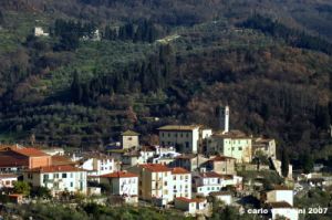 pelago_campagna4