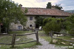 pelago_lapieve04