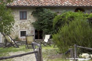 pelago_lapieve06