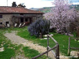 pelago_primavera01