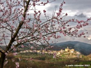 pelago_primavera03