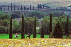 pienza1001_10