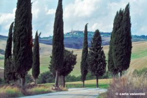 pienza1001_17