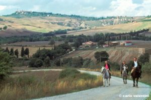 pienza1001_31