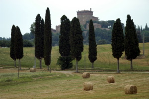 pienza2_030530