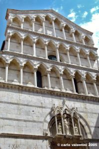 pisa81