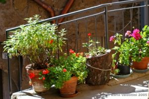 pitigliano039