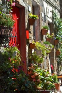pitigliano066