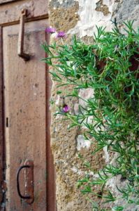 pitigliano118