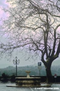 pitigliano97
