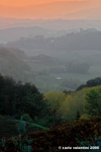 poggibonsi_campagna01
