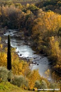 pontassieve_campagna03