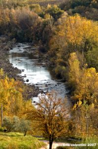 pontassieve_campagna05