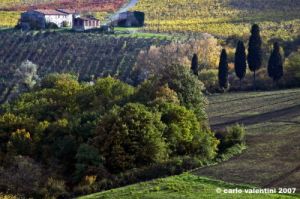 pontassieve_campagna06