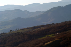 pratomagno6