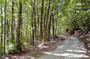 riserva_monte_penna01