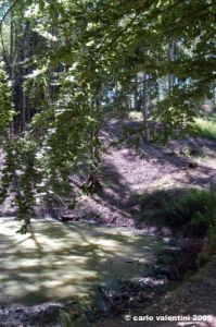 riserva_monte_penna20
