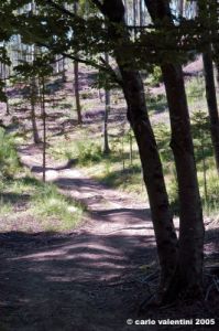 riserva_monte_penna22