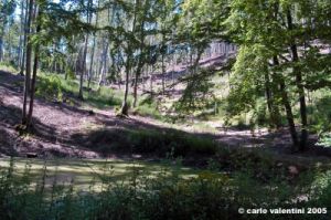 riserva_monte_penna23