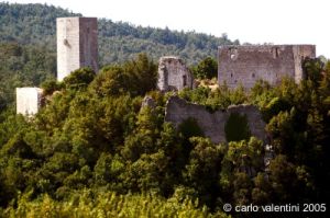 rocca_silvana3