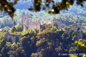 rocca_silvana8