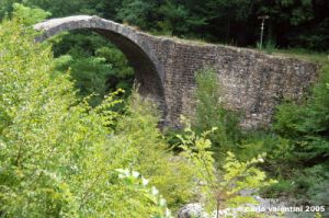 rosia_ponte_pia5