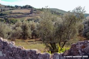 ruffino1