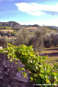 ruffino2