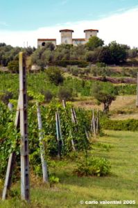 ruffino3