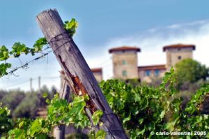 ruffino4