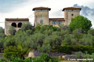 ruffino7