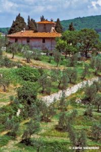 san_donato_collina620_33